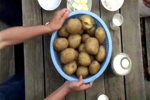 GTO japan potatoes   