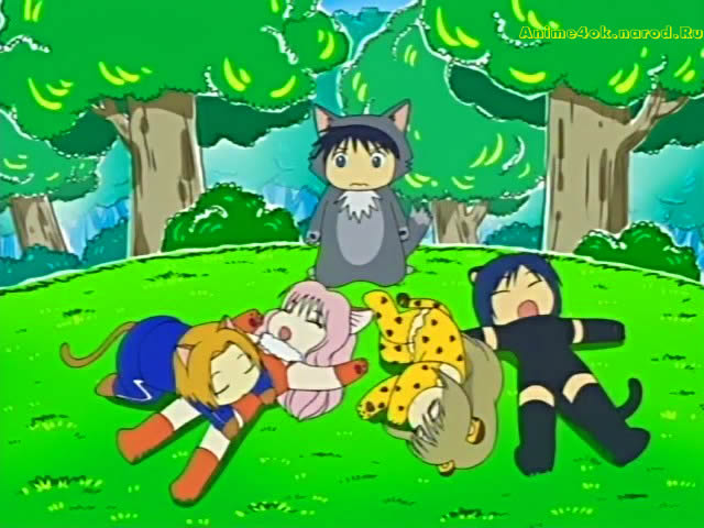 anime damekko doubutsu 06 кошачьи пушистики спят на полянке и застенчивый волк