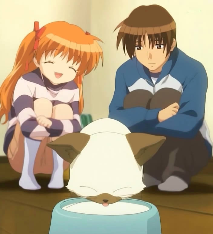 anime Kanon cat milk