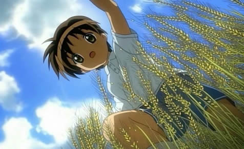 boy in corn-plants anime Kanon 2006 в пшенице
