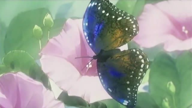  butterfly anime loveless