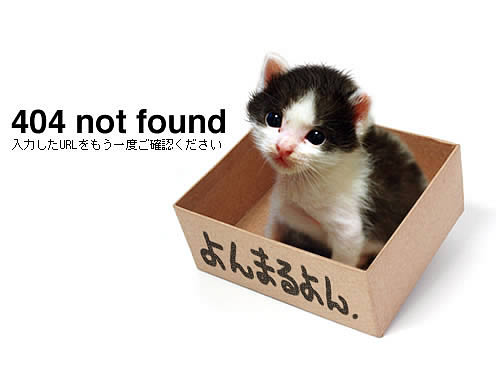 404 not found - kitty in box