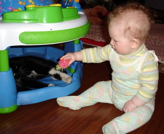 baby game - combing black cat, малышка ухаживает за чёрной кошшкой
