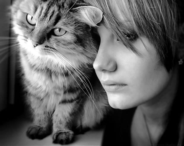 black and white cat and sad female