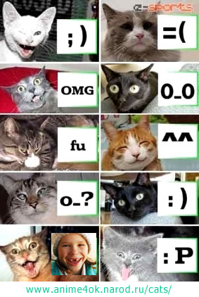 cat emotions list - талица кошачьих эмоций (на фото Настя Стукалова и кошки)