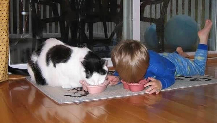 child eat with cat ребёнок ест с кошкой на полу из миски