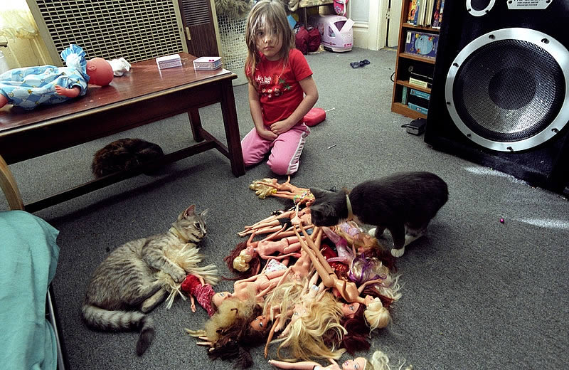 dolls and cats, girl