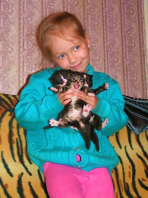 girl and 3 small cats (from mail.ru)
