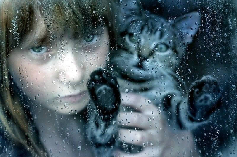 girl and cat, rain, window (фото девочка с кошкой за мокрым от дождя окном
