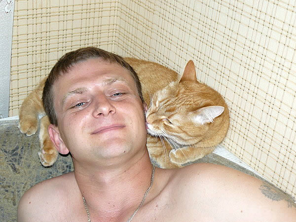 happy man and cat счастливый мужик, которого лижет в щёку рыжая кошка (mail.ru)