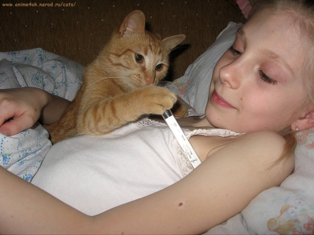 medic cat for girl in bed любопытная рыжая кошка лапает градусник подмышкой у заболевшей девочки в постели mail.ru mac A09403721C