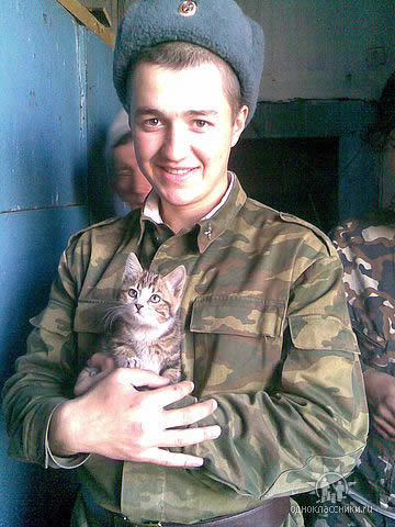 little cat in army котёнок в армии на руках у солдата (одноклассники.ру)