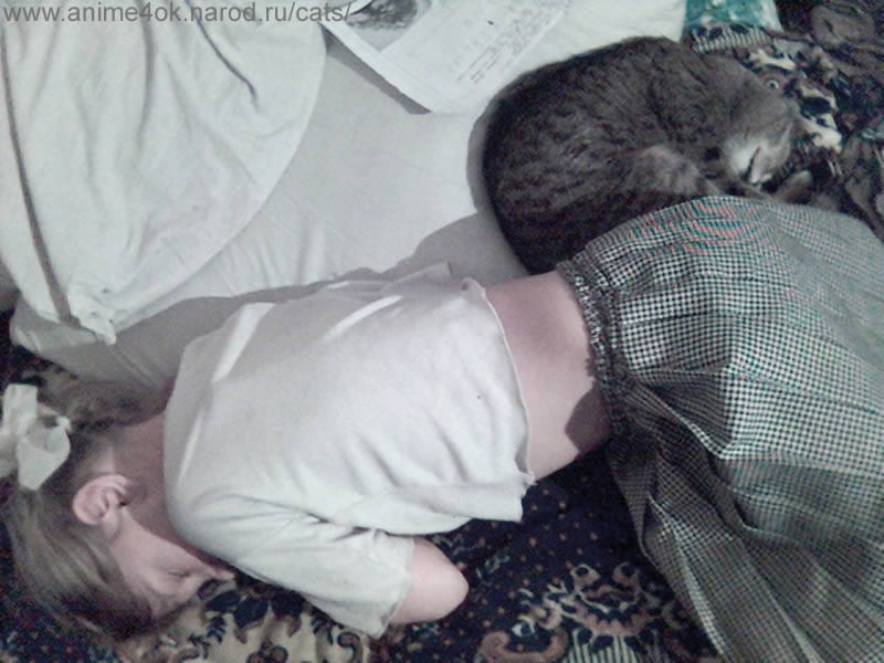 sleeping russian girl and sleeping cat